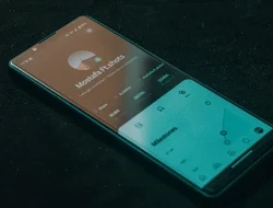 Lupa Sandi Vivo Y12 Tanpa PC: Cara Reset dan Solusi Datanya