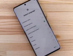 4 Cara Mengetahui Tipe HP Vivo Tanpa Dusbox: Nomor Model Akurat