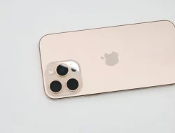 3 Metode yang Terbukti Aman Membersihkan Jamur Bodi Vivo Bekas Softcase