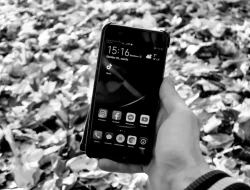 Cara Mengunci Jaringan 4G Vivo Y91 Tanpa Aplikasi Tambahan