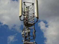 3 Metode Mengunci Jaringan 4G Vivo Tanpa Aplikasi yang Wajib Anda Tahu