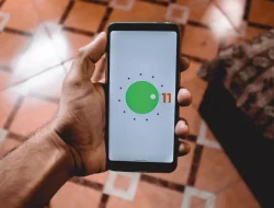 Alasan Sebenarnya Kenapa Sebagian HP Vivo Belum Dapat Notif Update Android Terbaru