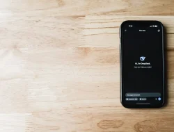 3 Metode Reset Vivo Y20 Tanpa PC: Mana yang Paling Aman dari FRP?