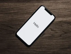 Bukan Cuma Tombol Power: Cara Reset HP Vivo Y21 Ini Jarang Dibahas